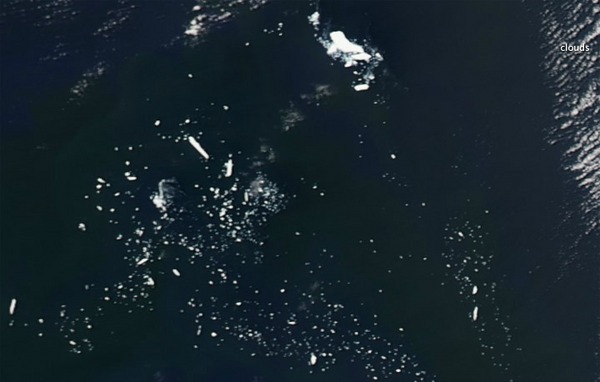 12-Year-Old Iceberg's Death Caught on Camera